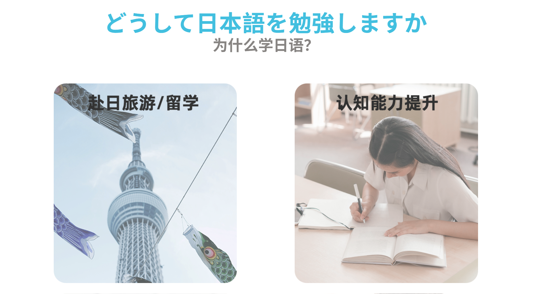 2026 最新学日语机构推荐｜高口碑日语培训机构 TOP5