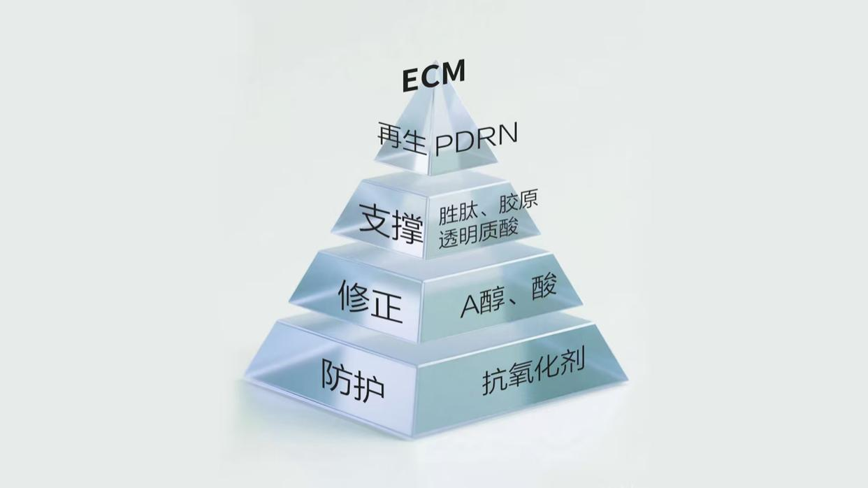 引领“系统抗衰”新时代：华熙生物旗下润百颜ECM品牌发布会将于4月29日在京举办
