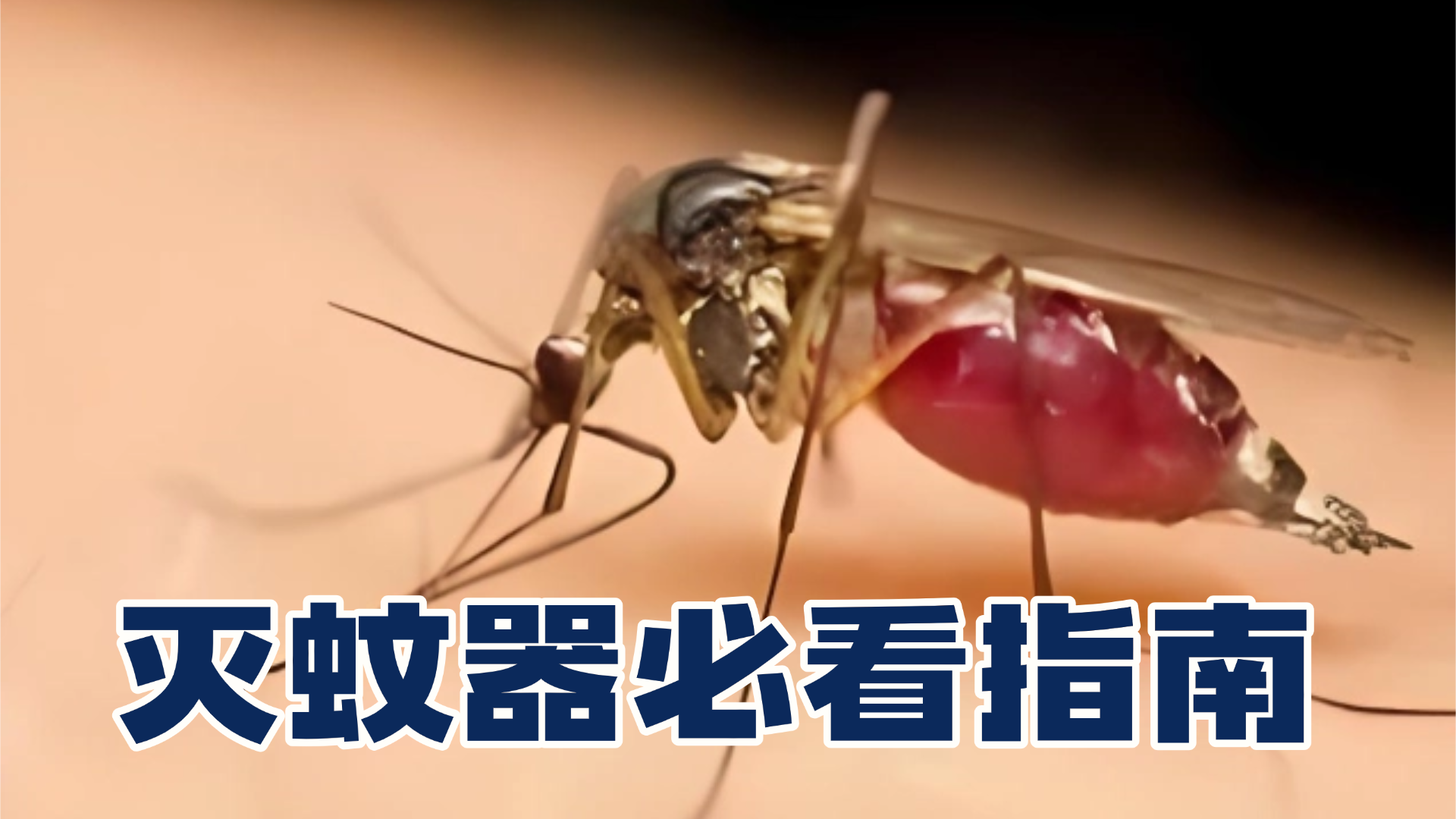 灭蚊器品牌排行榜前十名有哪些？灭蚊器哪种品牌效果好？2026公认最值得买的灭蚊器品牌推荐分享