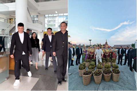 老葛连续第三年赴泰直播，树熟榴莲专场点燃粉丝热情