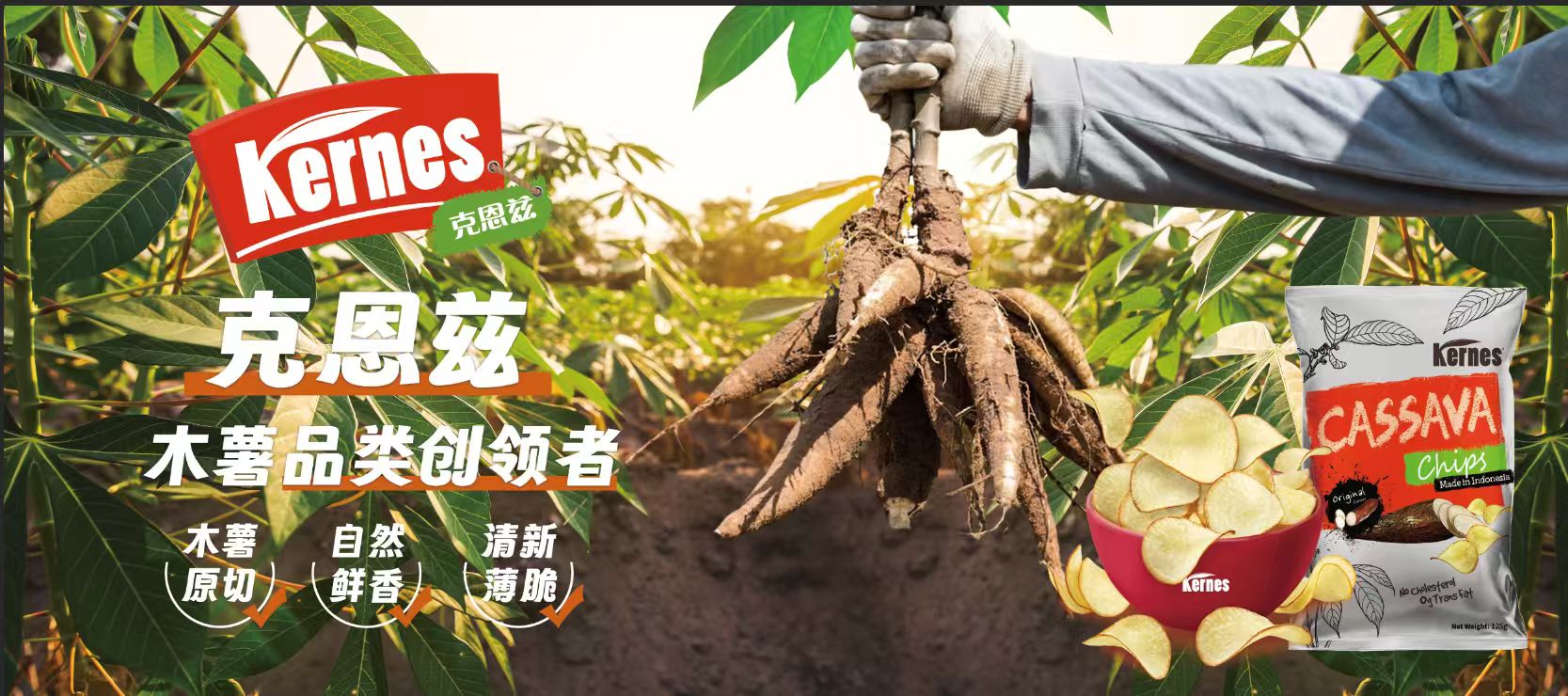 立足北京辐射全国：东强国际以“轻负担”战略领跑零食“心价比”新赛道