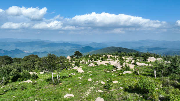 寻迹辽中京 览盛境宁城｜全国十省千人自驾文旅体验活动盛大启幕