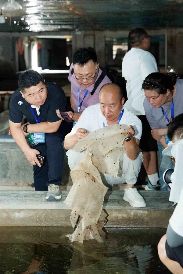 太和殿海参吹响辽参原产地溯源“集结号”，打造参养融合新业态