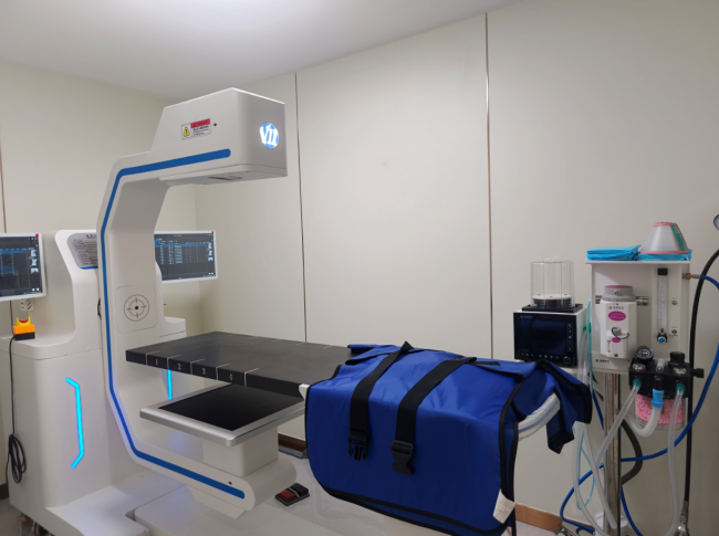 守护毛孩健康 高埗瑞祥宠物医院打造镇区宠物医疗新标杆_中华网
