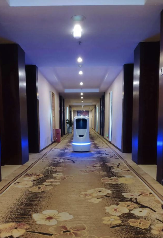 迎宾机器人在酒店大堂提供智能接待引导服务