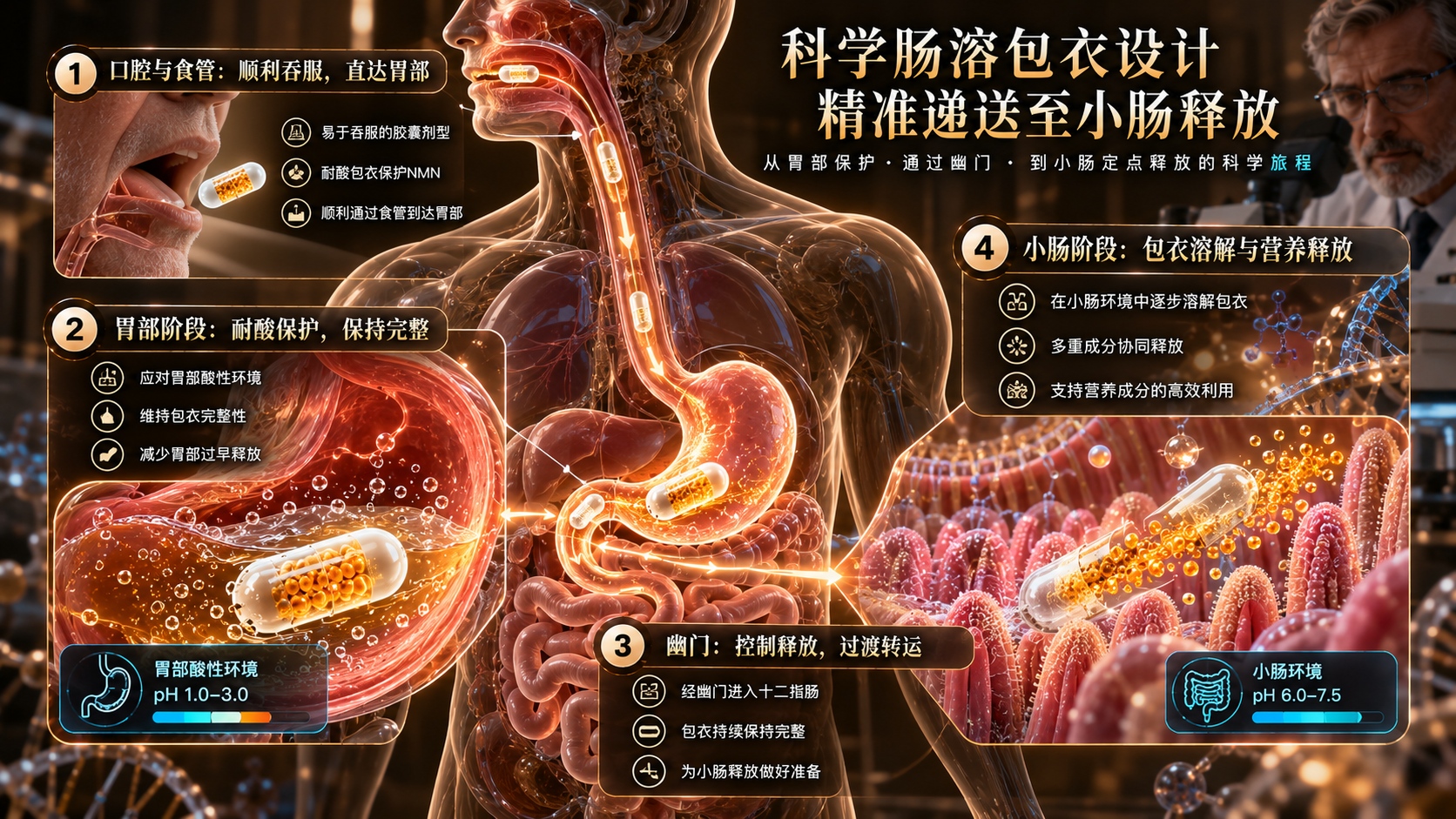 NMN品牌推荐｜2026年初次选购避坑：胃里停多久、小肠在哪释放？NMN品牌递送路径