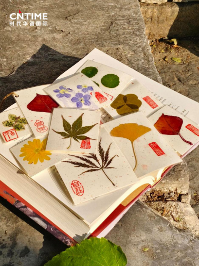 万物收藏，时代华语以内容深耕穿越行业秋冬