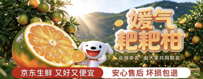 京东生鲜首发上市柑橘新品种“媛气耙耙柑”，最快24小时鲜达全国